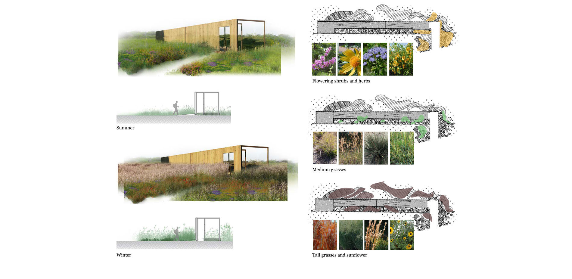 RISE — Detail view 02