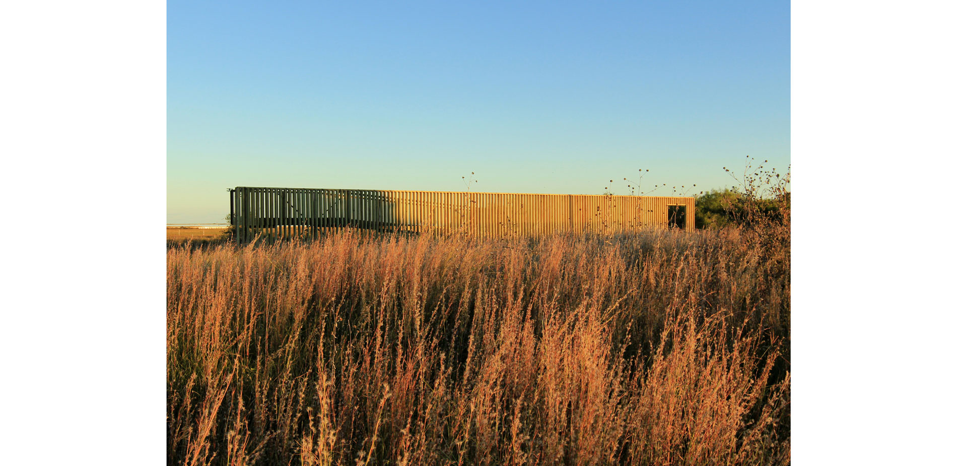 RISE — Detail view 03