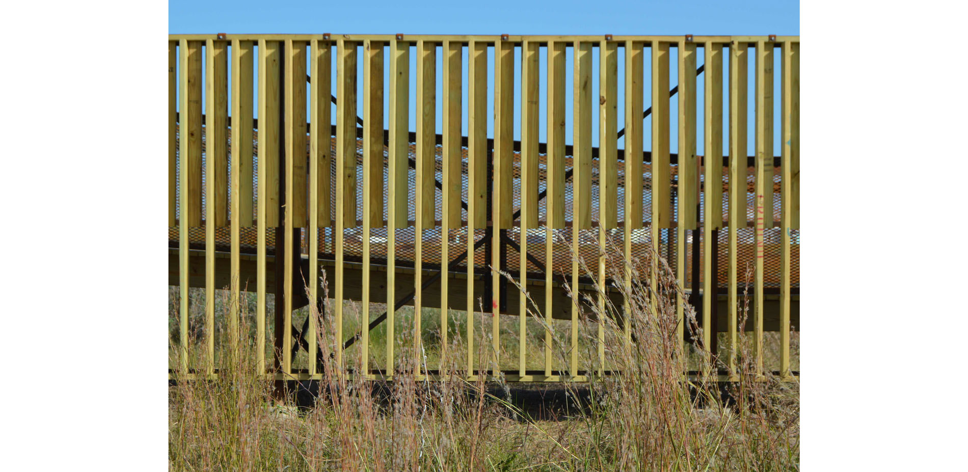 RISE — Detail view 08