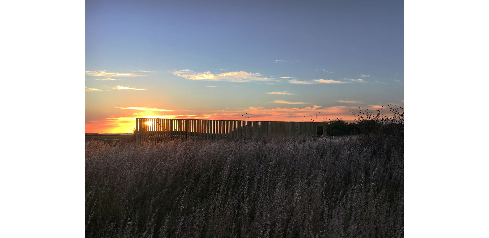 RISE — Detail view 13