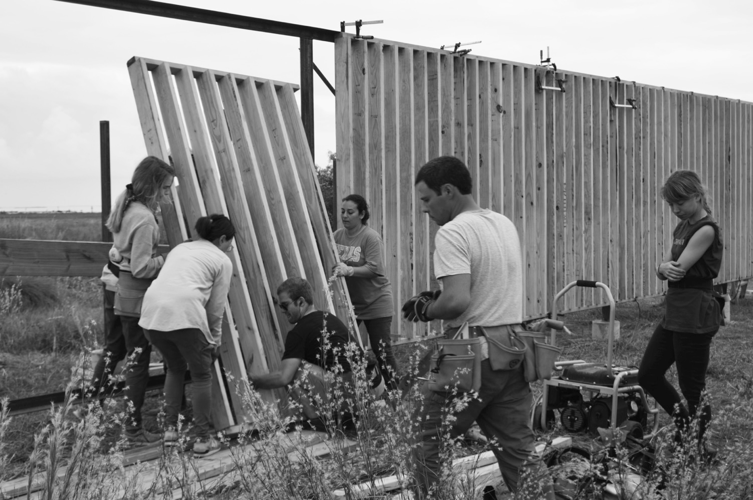 RISE — Site View 02