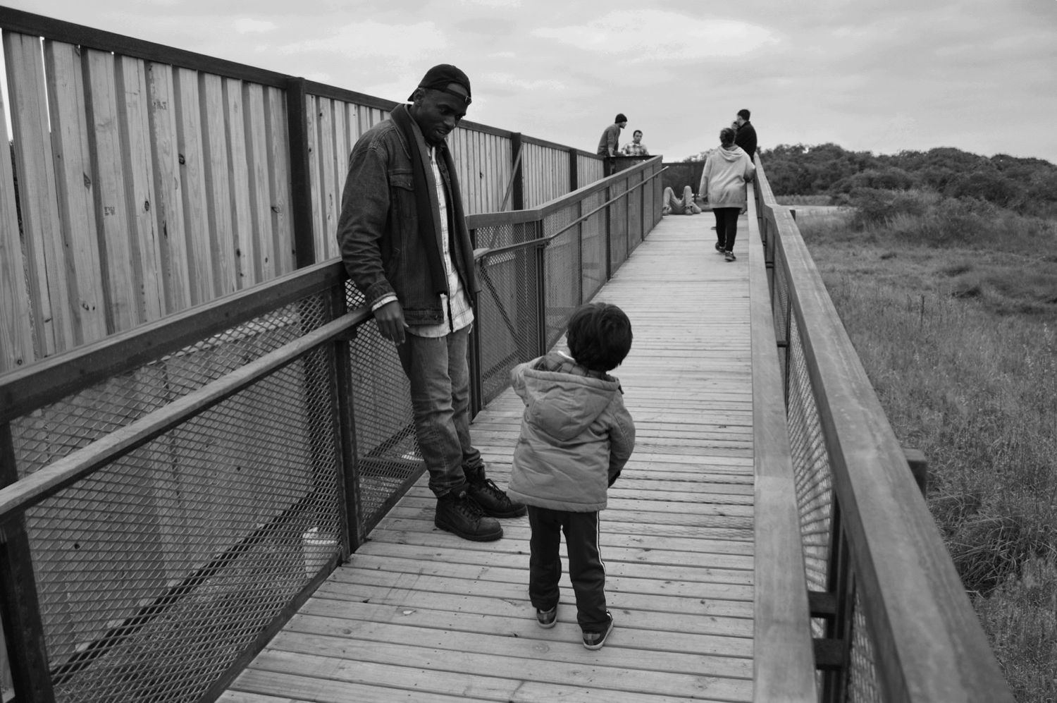 RISE — Site View 03