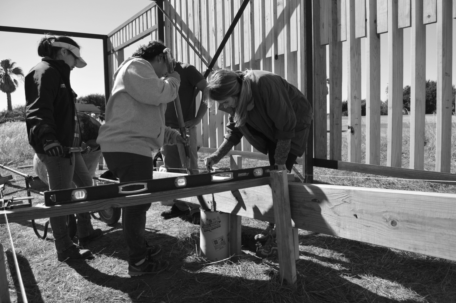 RISE — Site View 04